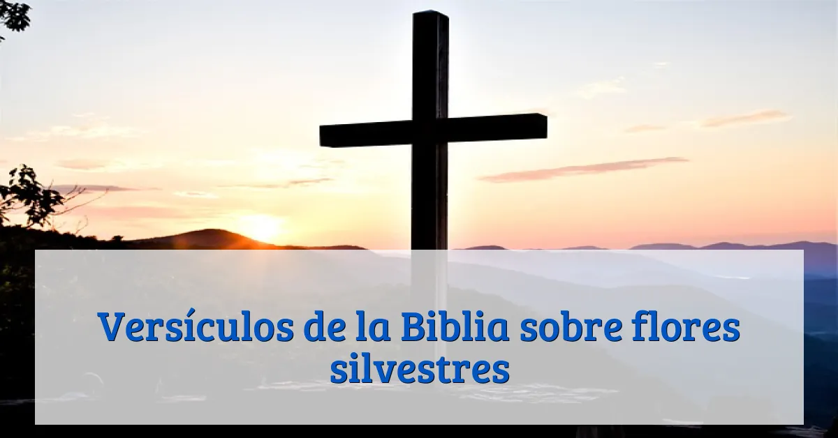 Versículos de la Biblia sobre flores silvestres