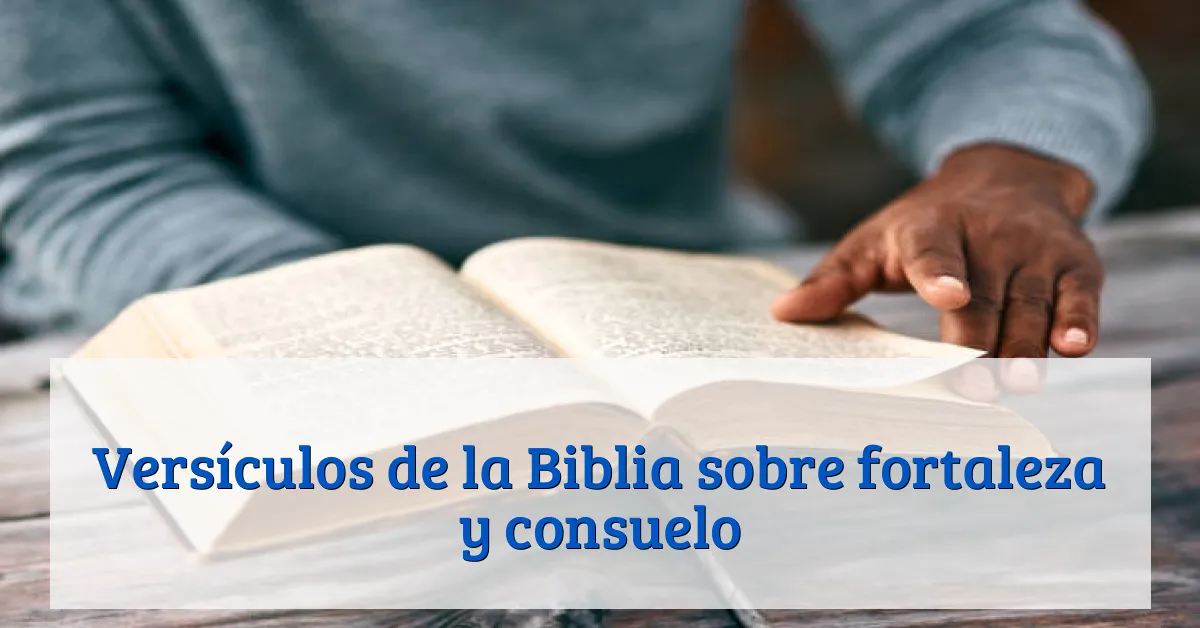 Versículos de la Biblia sobre fortaleza y consuelo