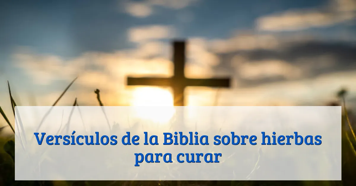 Versículos de la Biblia sobre hierbas para curar