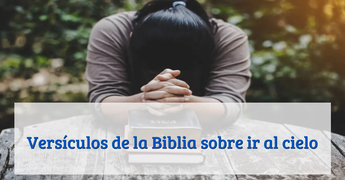 Versículos de la Biblia sobre ir al cielo