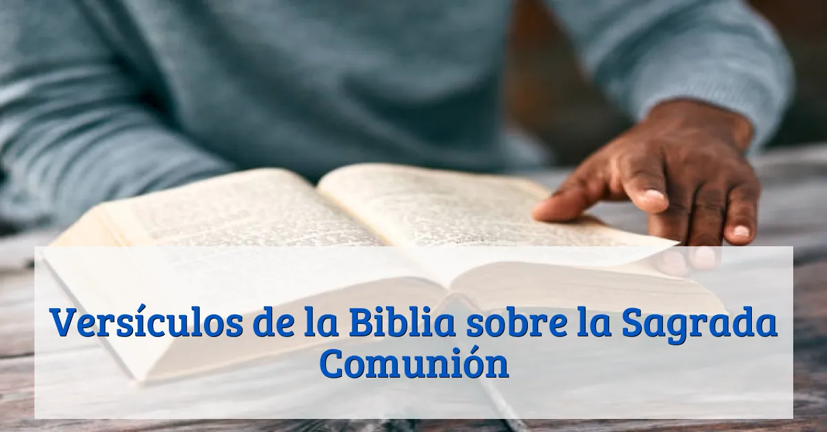 Versículos de la Biblia sobre la Sagrada Comunión