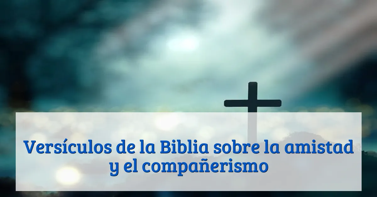 Versículos de la Biblia sobre la amistad y el compañerismo