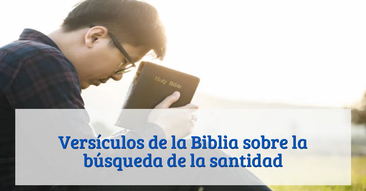 Versículos de la Biblia sobre la búsqueda de la santidad