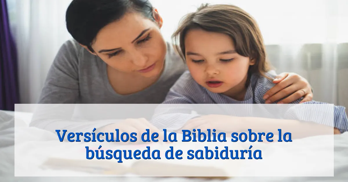 Versículos de la Biblia sobre la búsqueda de sabiduría