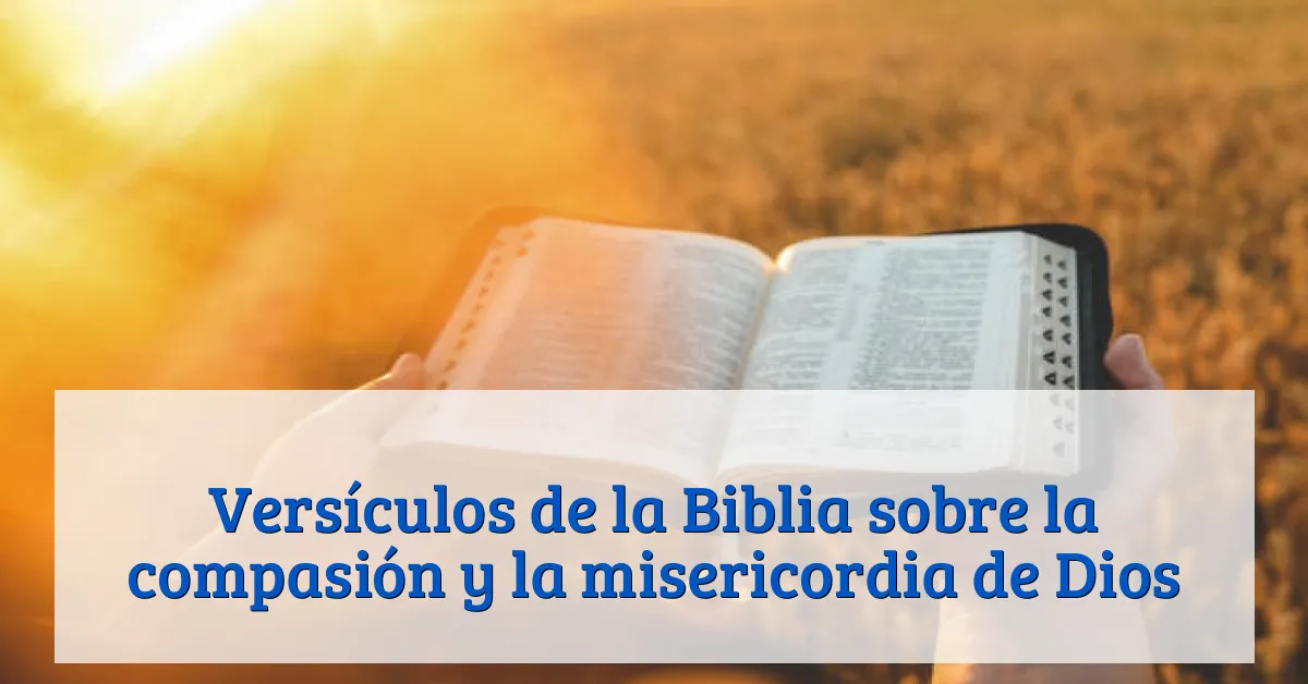 Versículos de la Biblia sobre la compasión y la misericordia de Dios
