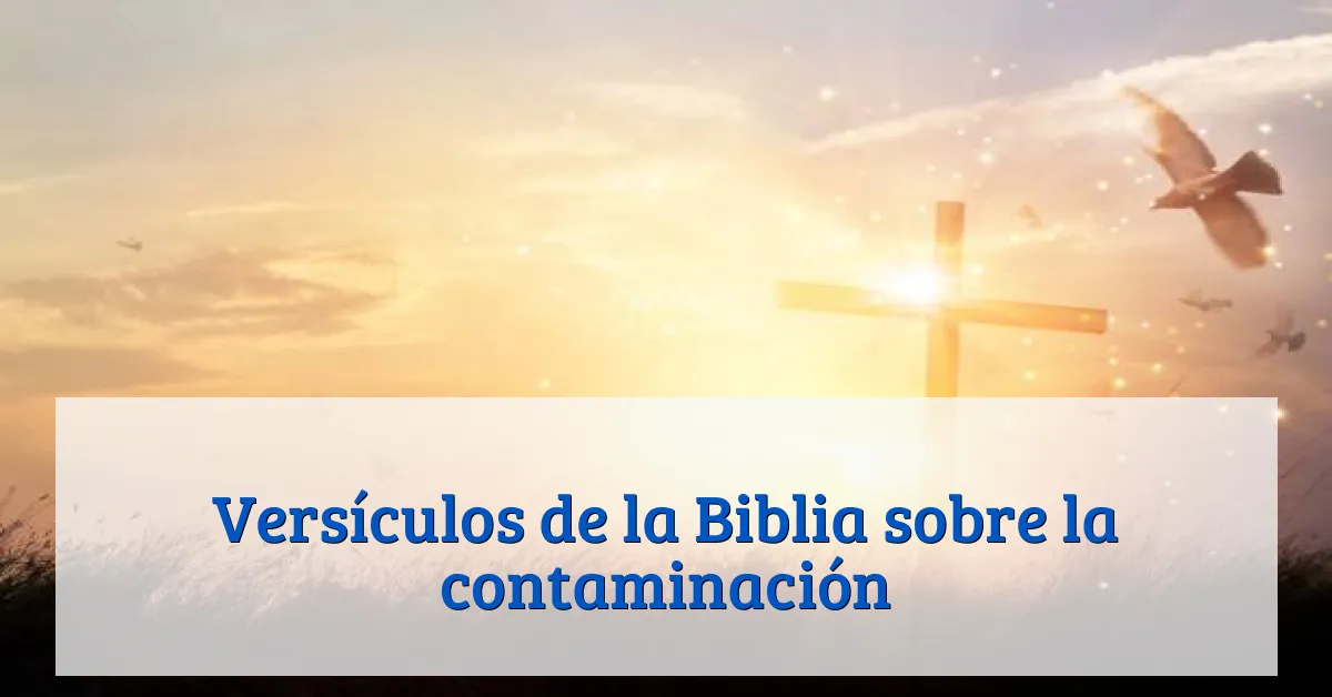 Versículos de la Biblia sobre la contaminación