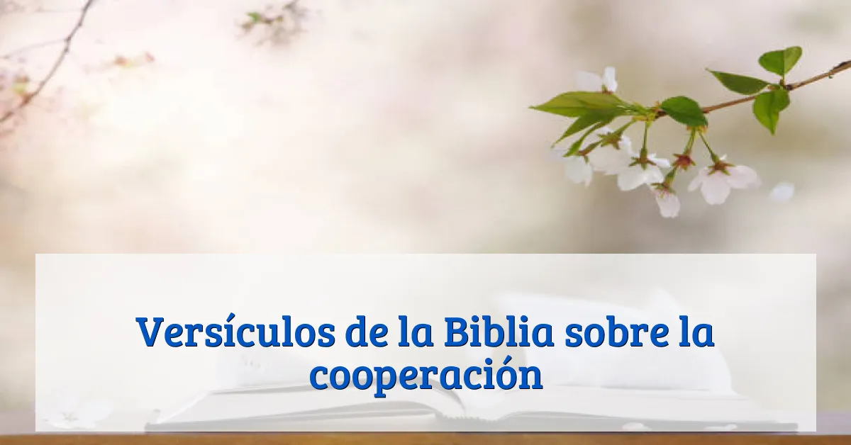 Versículos de la Biblia sobre la cooperación