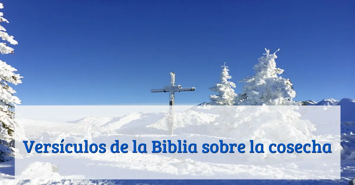 Versículos de la Biblia sobre la cosecha