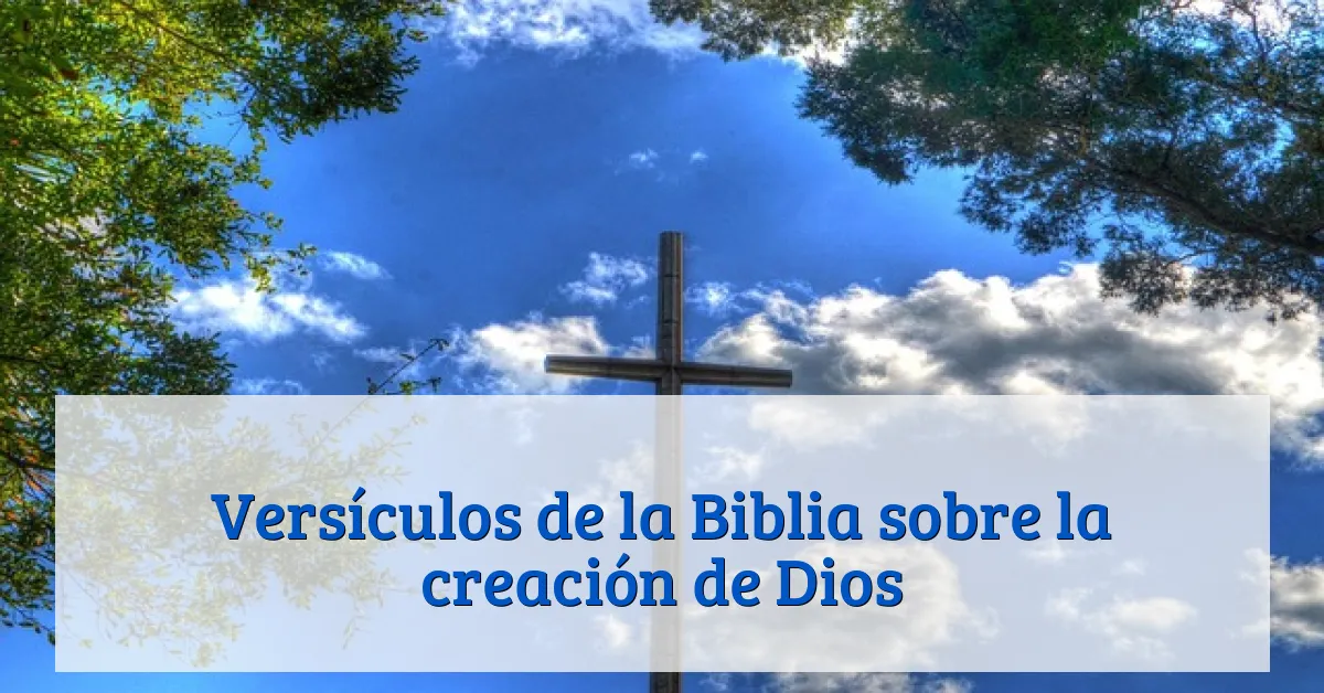 Versículos de la Biblia sobre la creación de Dios