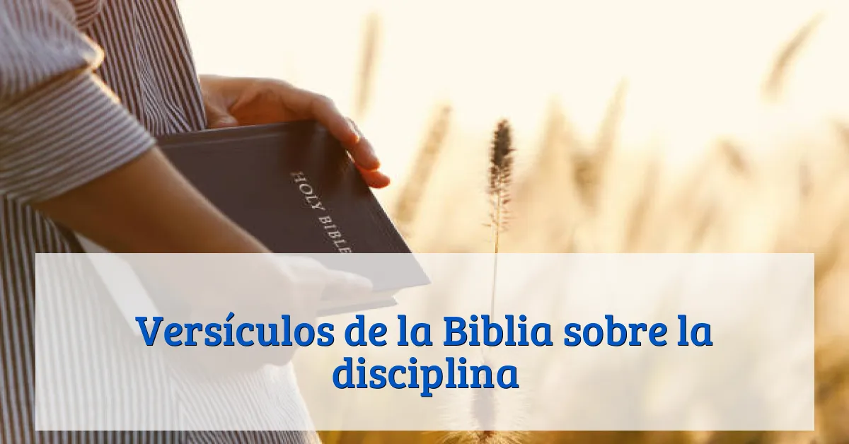Versículos de la Biblia sobre la disciplina