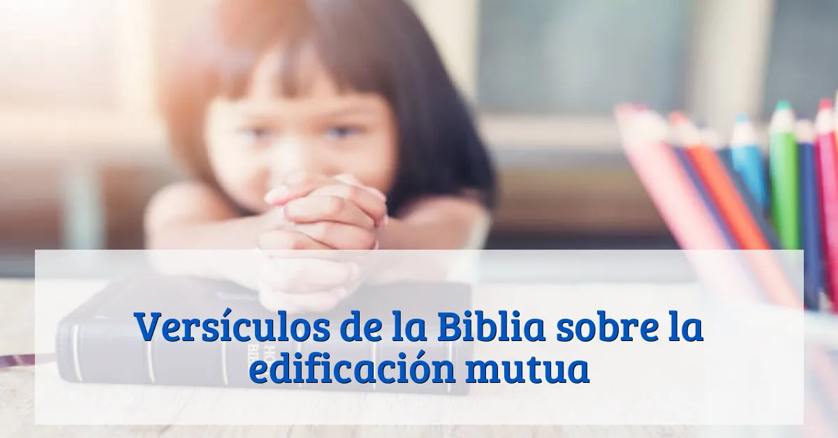 Versículos de la Biblia sobre la edificación mutua