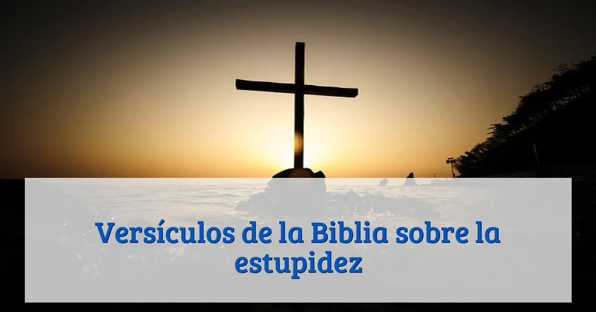 Versículos de la Biblia sobre la estupidez