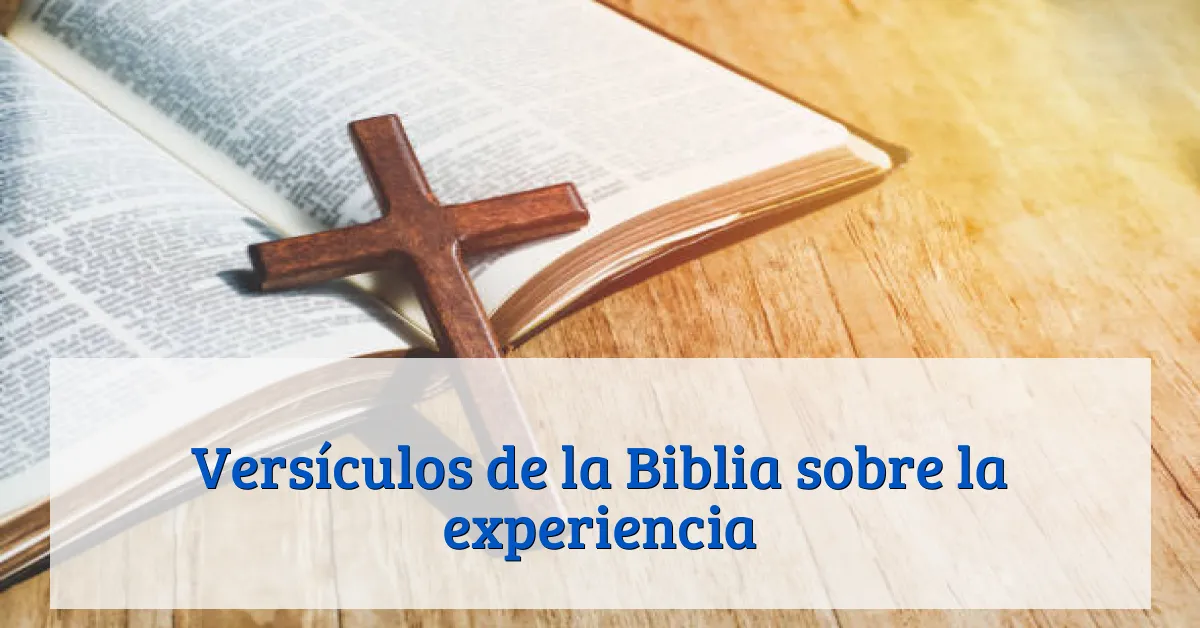 Versículos de la Biblia sobre la experiencia