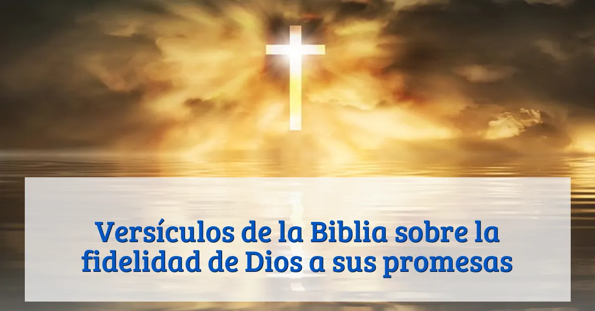 Versículos de la Biblia sobre la fidelidad de Dios a sus promesas
