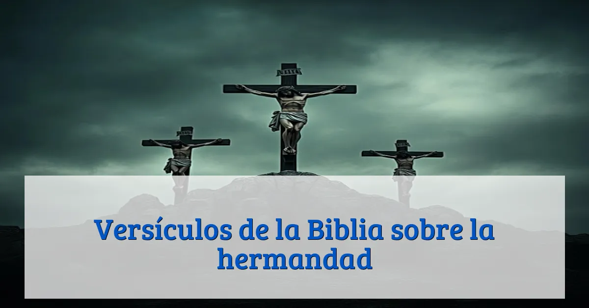 Versículos de la Biblia sobre la hermandad