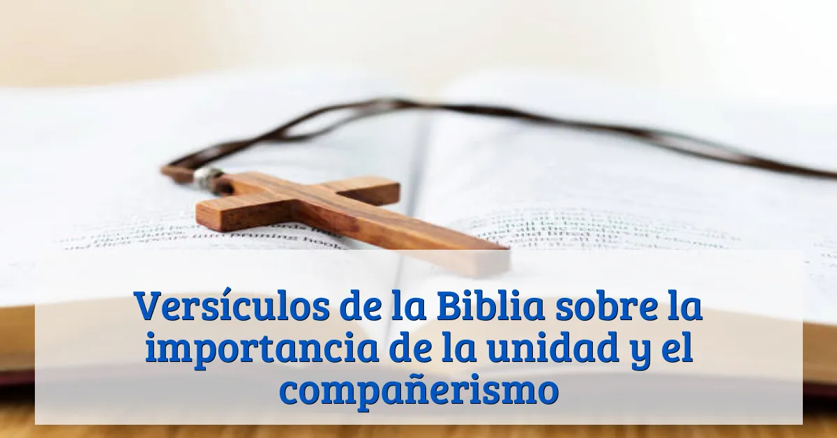 Versículos de la Biblia sobre la importancia de la unidad y el compañerismo