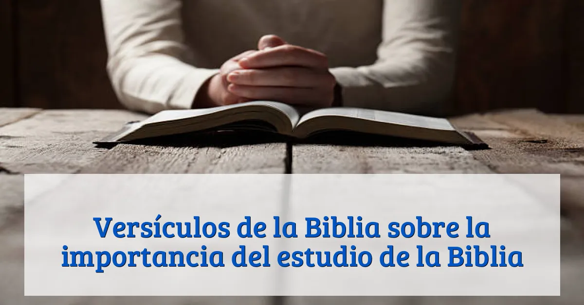 Versículos de la Biblia sobre la importancia del estudio de la Biblia