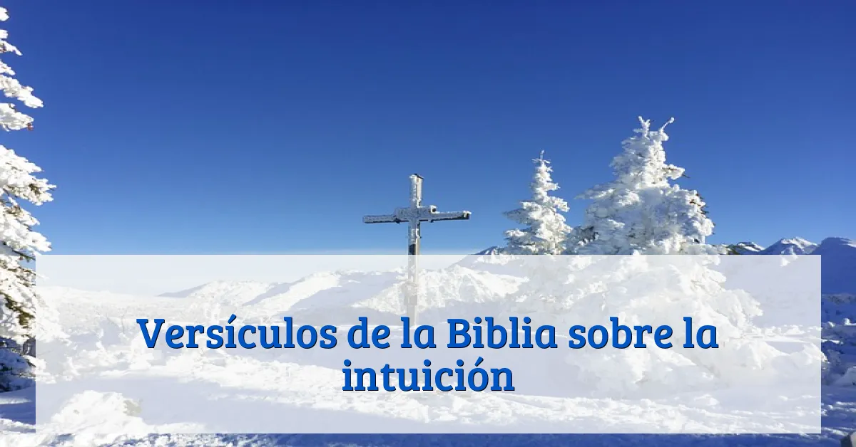 Versículos de la Biblia sobre la intuición