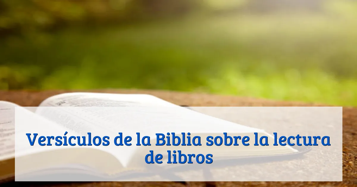 Versículos de la Biblia sobre la lectura de libros