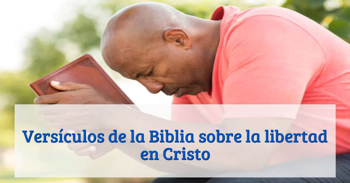 Versículos de la Biblia sobre la libertad en Cristo