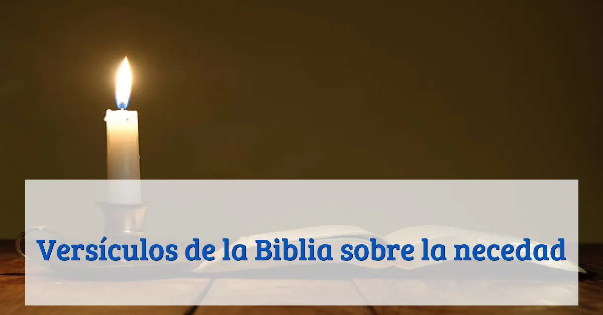Versículos de la Biblia sobre la necedad