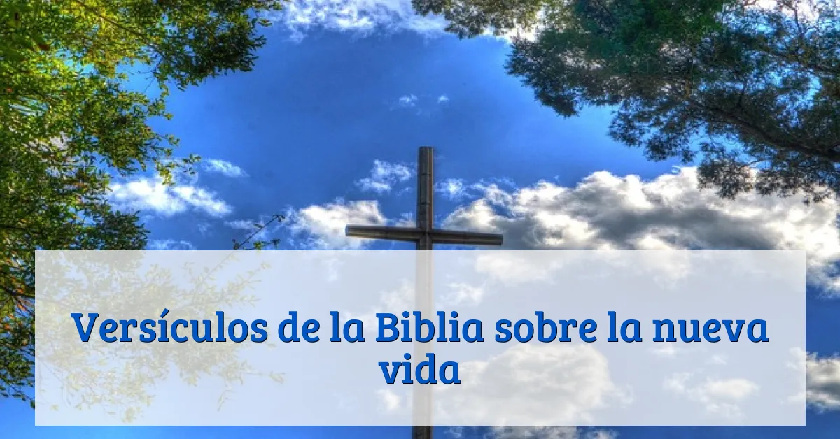 Versículos de la Biblia sobre la nueva vida
