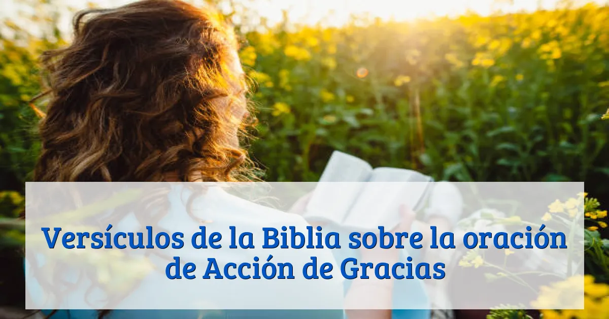 Versículos de la Biblia sobre la oración de Acción de Gracias