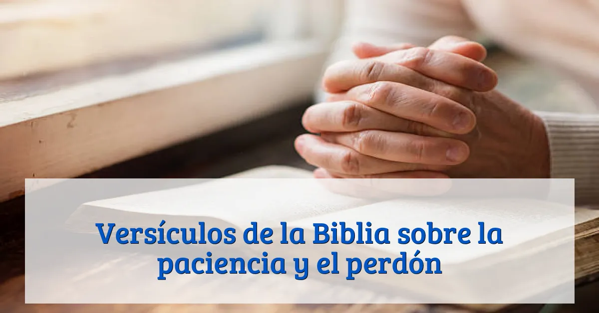Versículos de la Biblia sobre la paciencia y el perdón