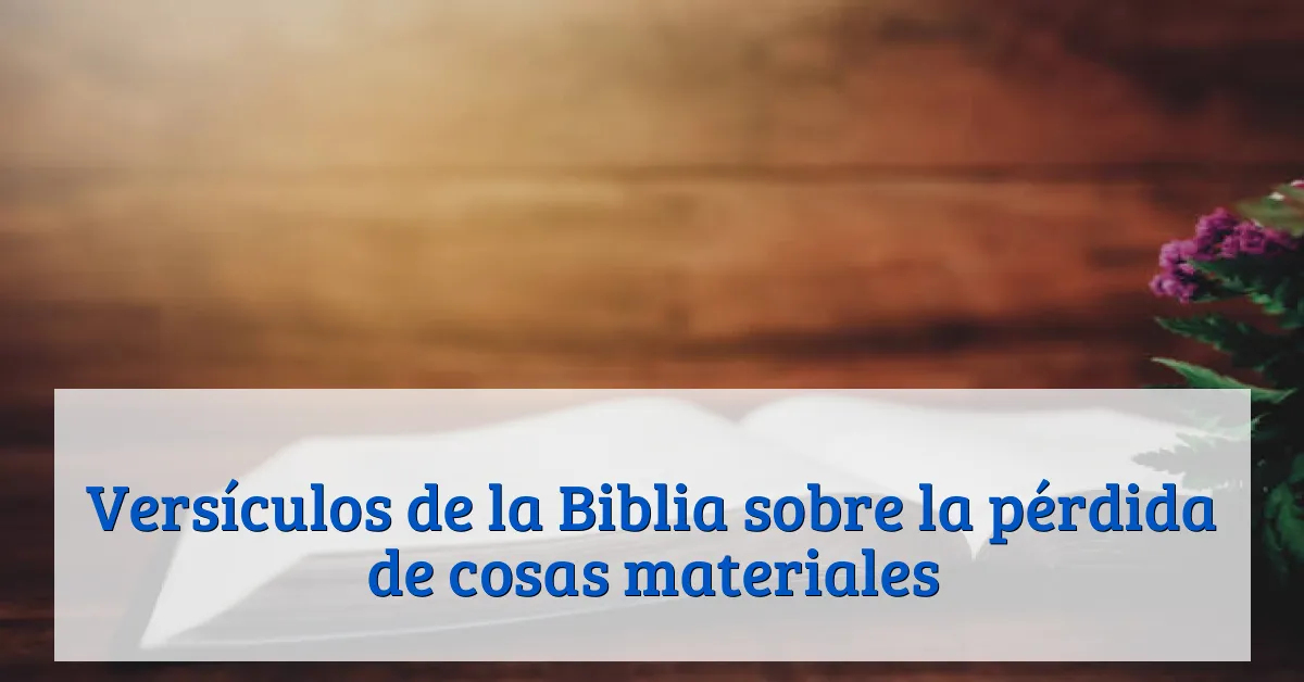 Versículos de la Biblia sobre la pérdida de cosas materiales