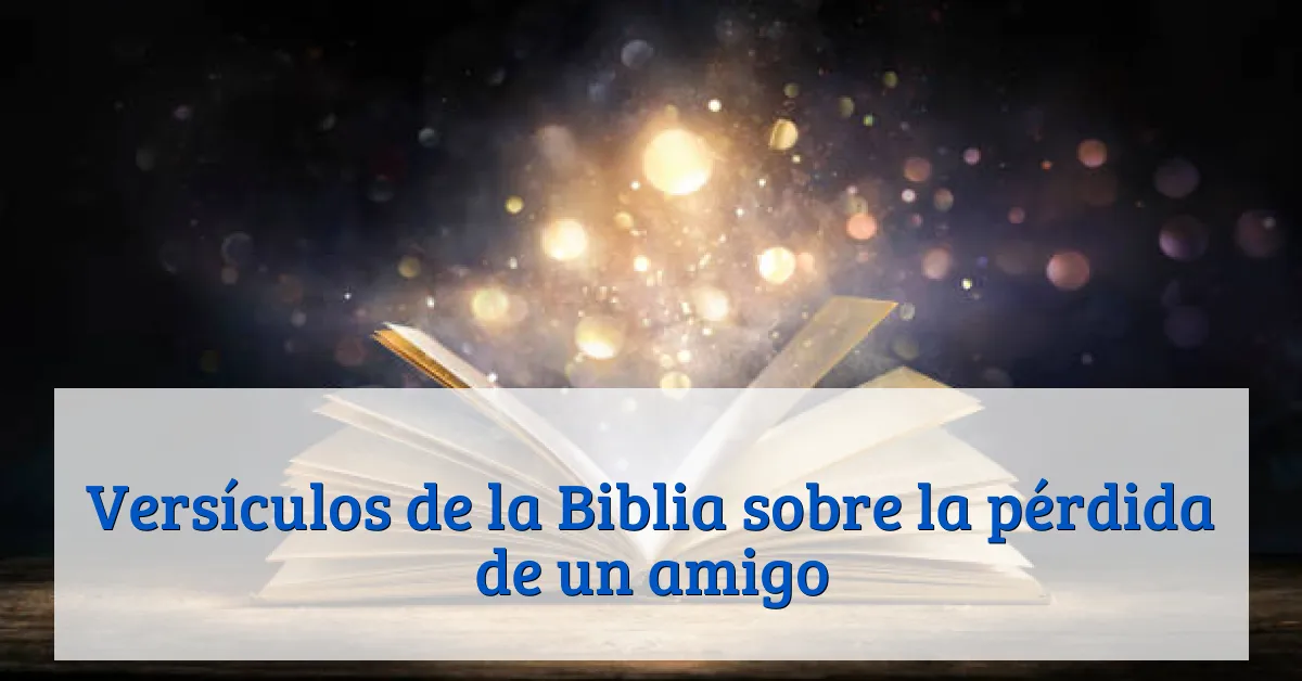Versículos de la Biblia sobre la pérdida de un amigo