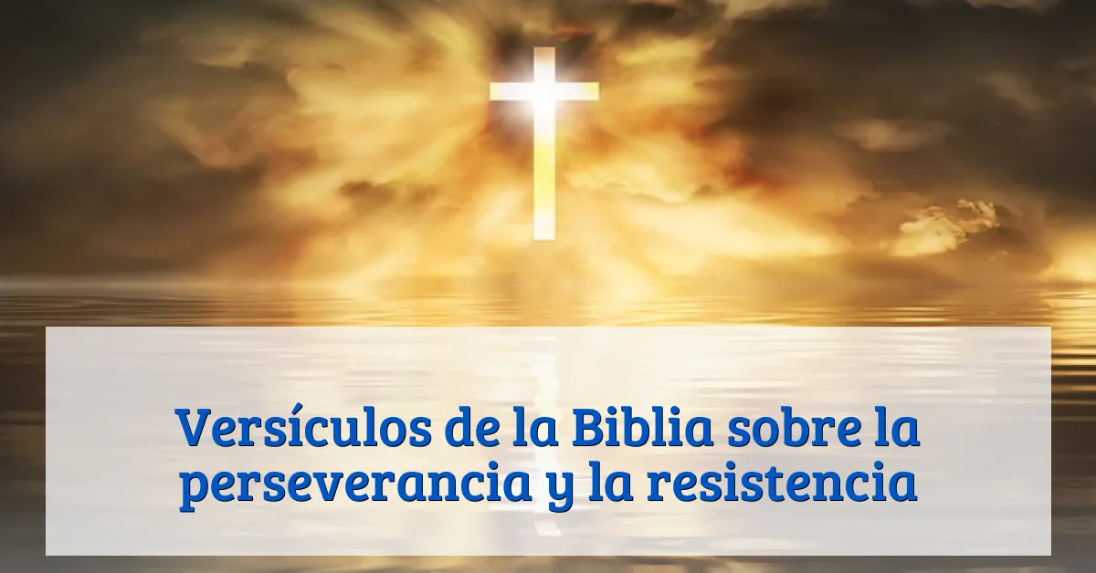 Versículos de la Biblia sobre la perseverancia y la resistencia