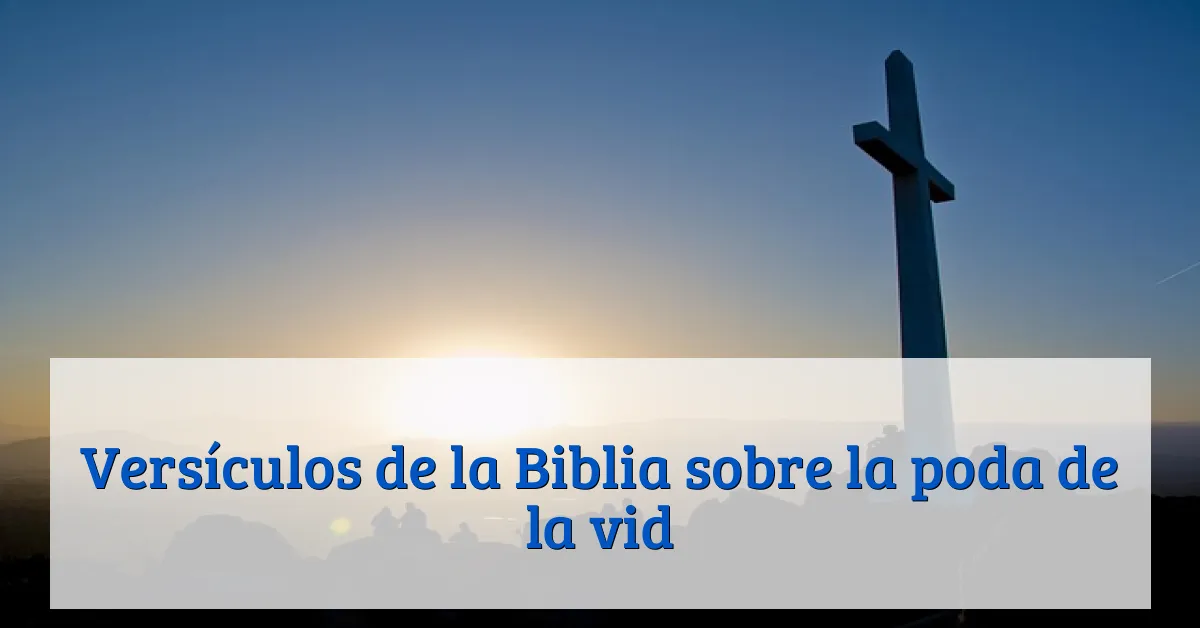 Versículos de la Biblia sobre la poda de la vid