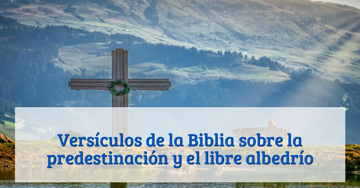 Versículos de la Biblia sobre la predestinación y el libre albedrío