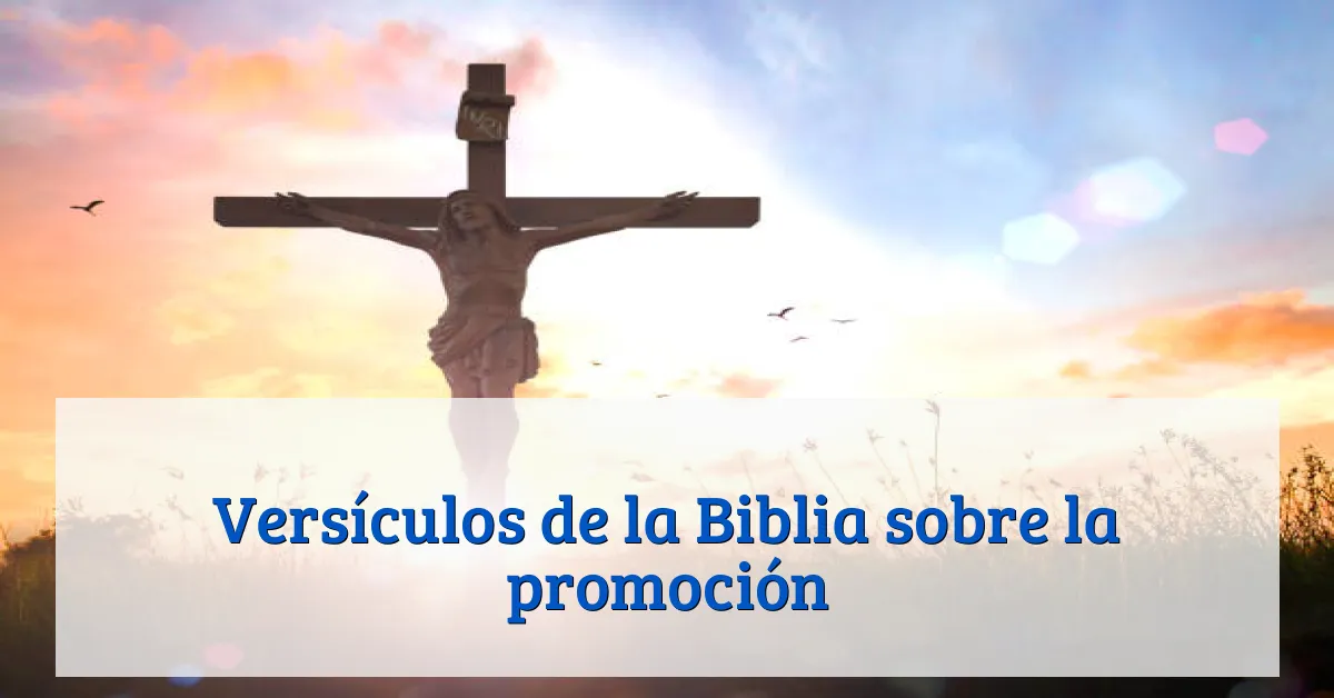 Versículos de la Biblia sobre la promoción