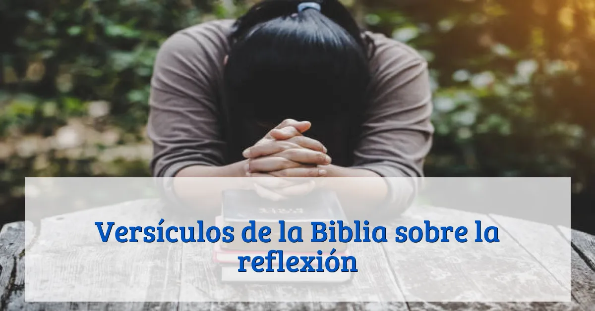 Versículos de la Biblia sobre la reflexión