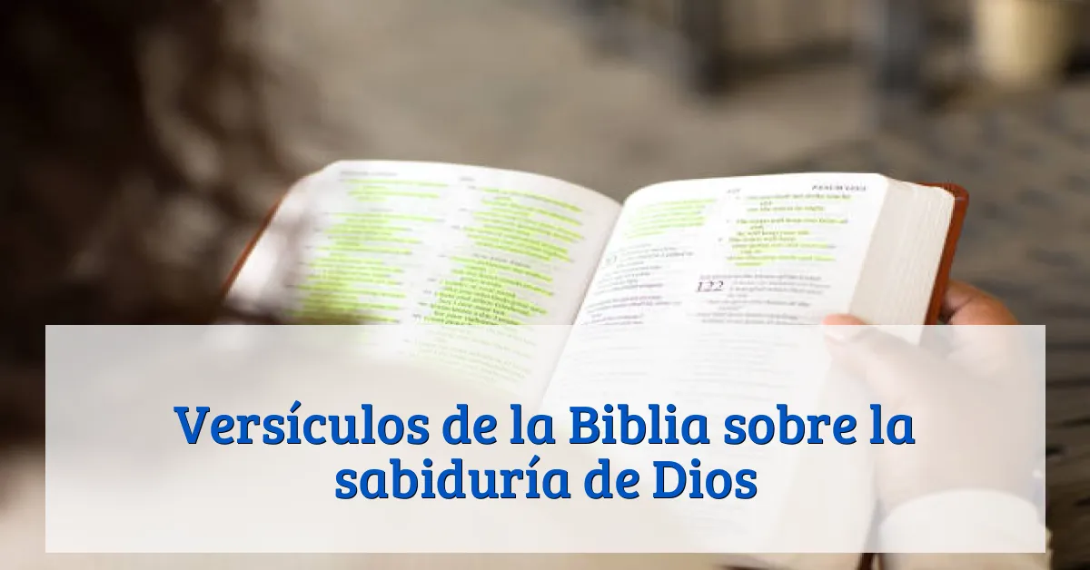 Versículos de la Biblia sobre la sabiduría de Dios