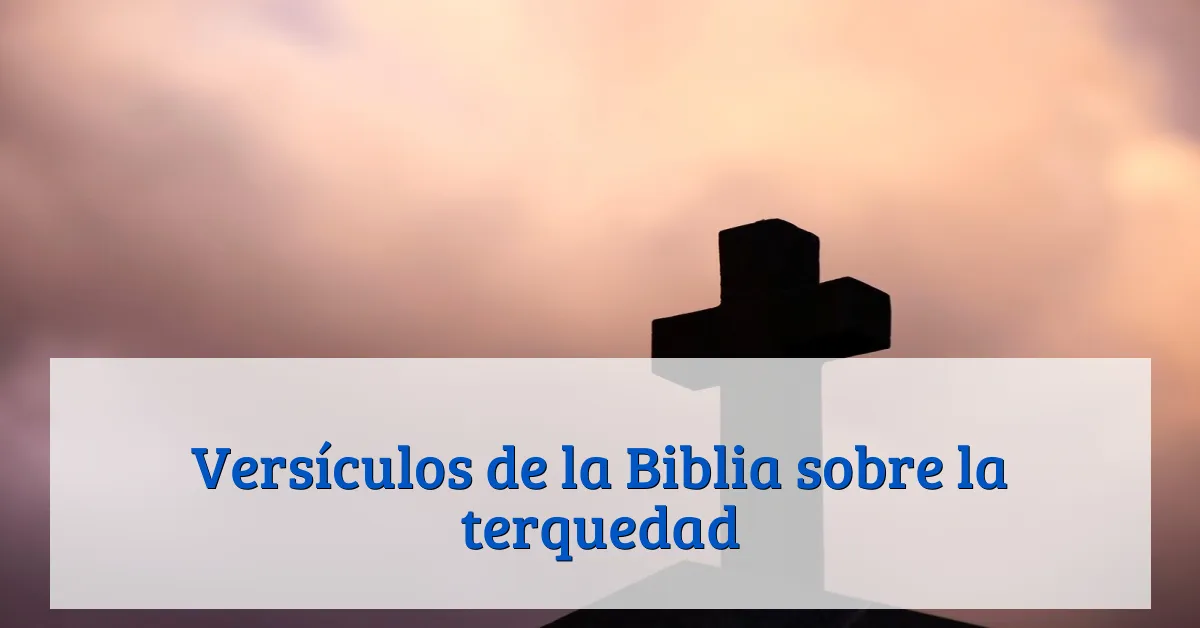 Versículos de la Biblia sobre la terquedad