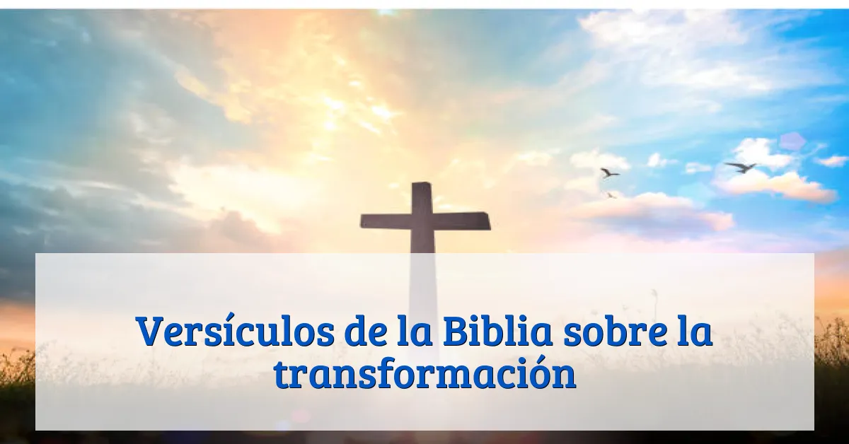 Versículos de la Biblia sobre la transformación