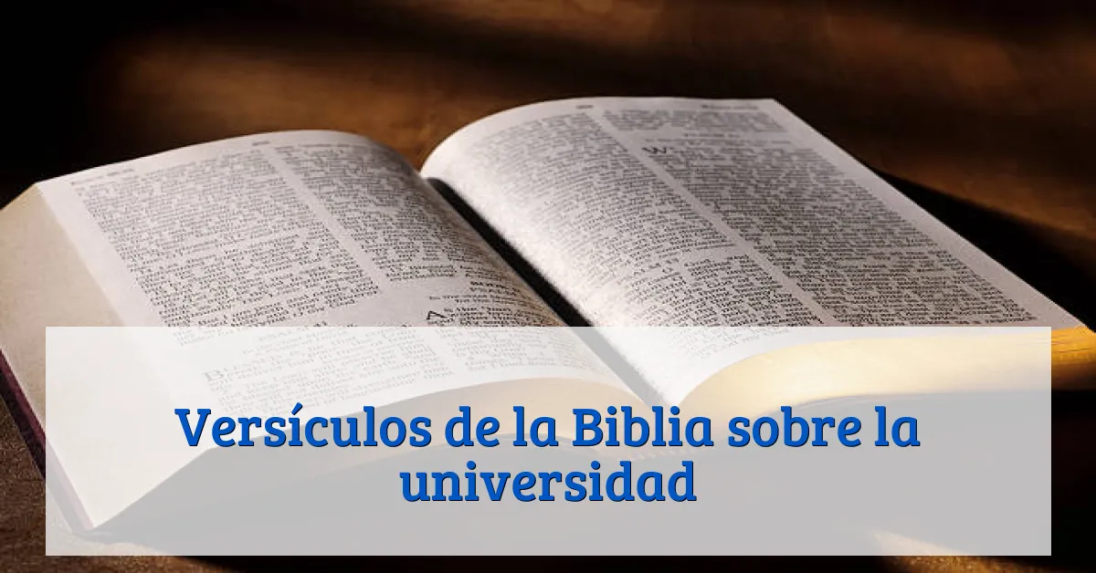 Versículos de la Biblia sobre la universidad