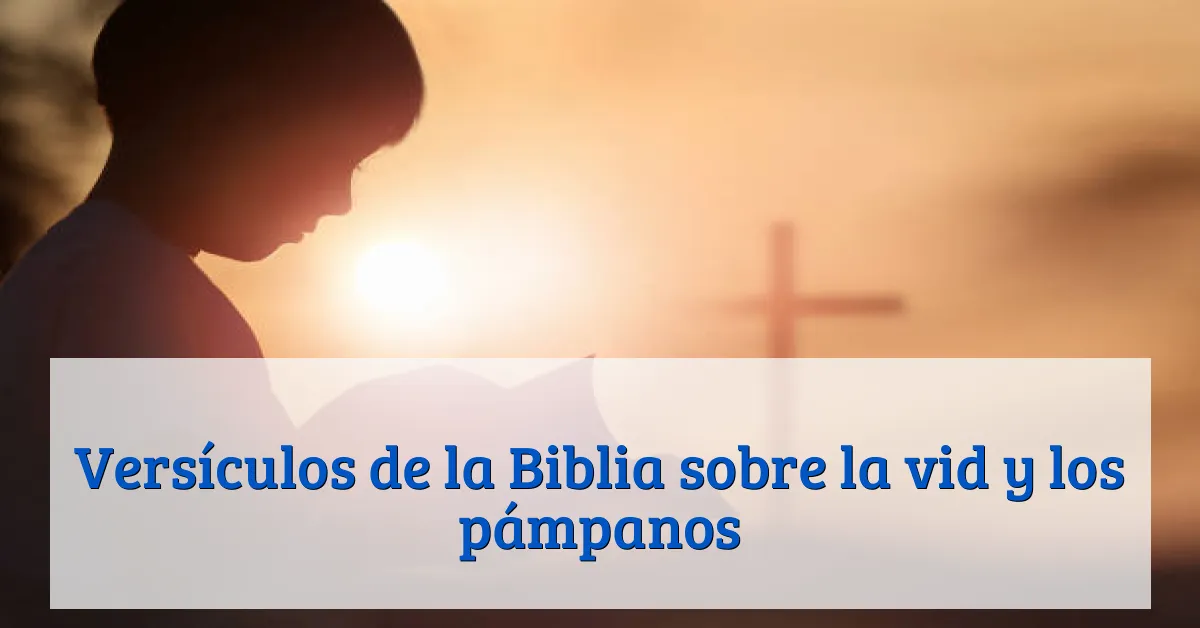 Versículos de la Biblia sobre la vid y los pámpanos