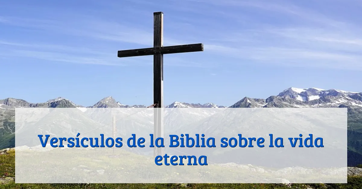 Versículos de la Biblia sobre la vida eterna