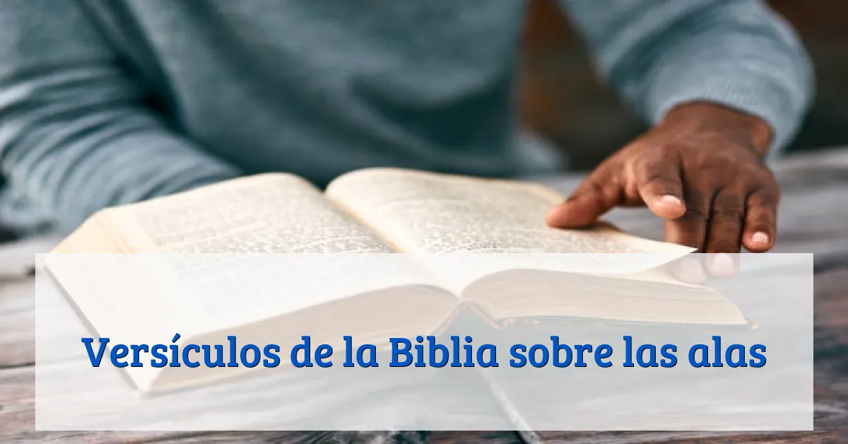Versículos de la Biblia sobre las alas