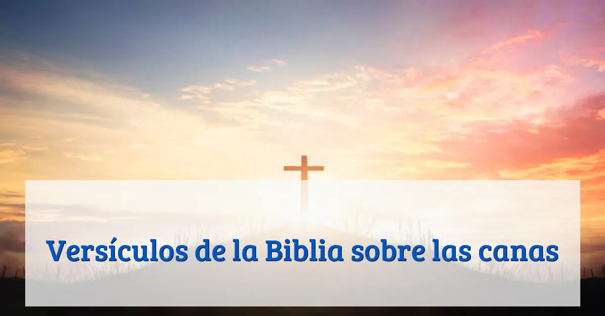 Versículos de la Biblia sobre las canas