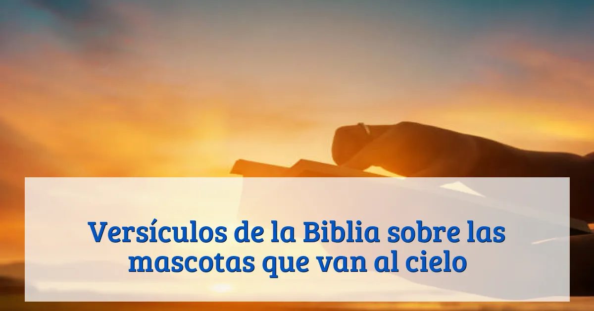 Versículos de la Biblia sobre las mascotas que van al cielo