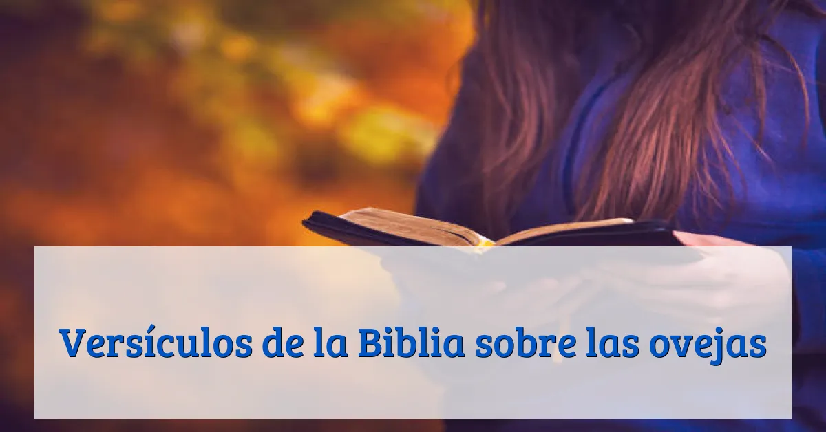 Versículos de la Biblia sobre las ovejas