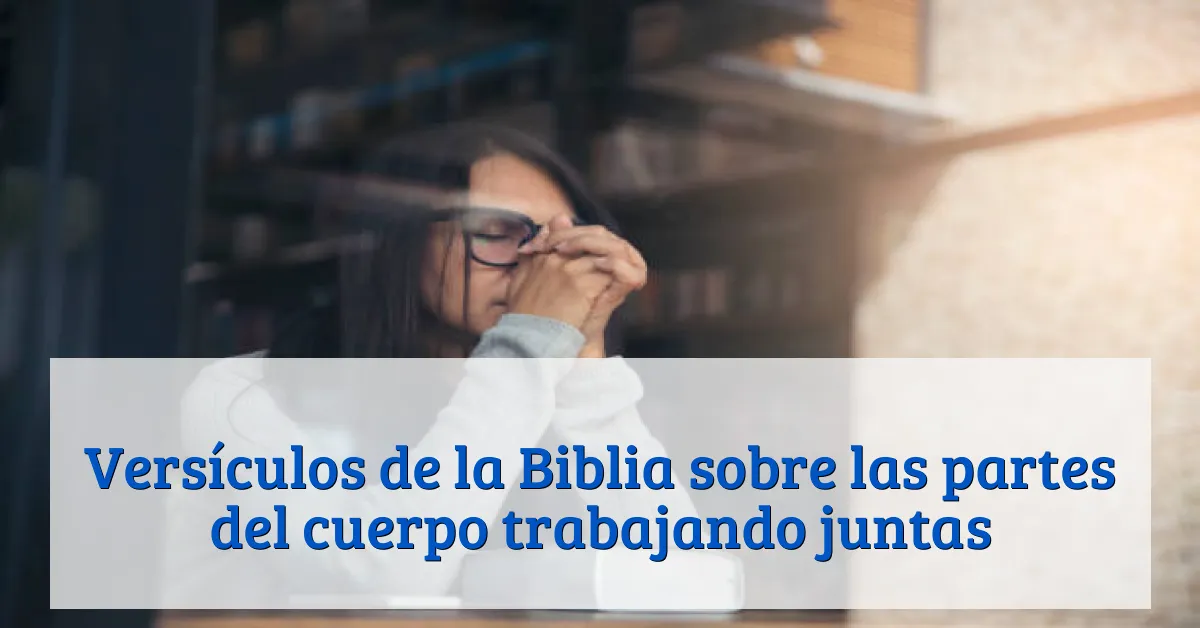 Versículos de la Biblia sobre las partes del cuerpo trabajando juntas