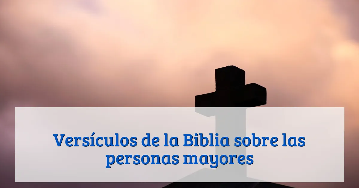Versículos de la Biblia sobre las personas mayores