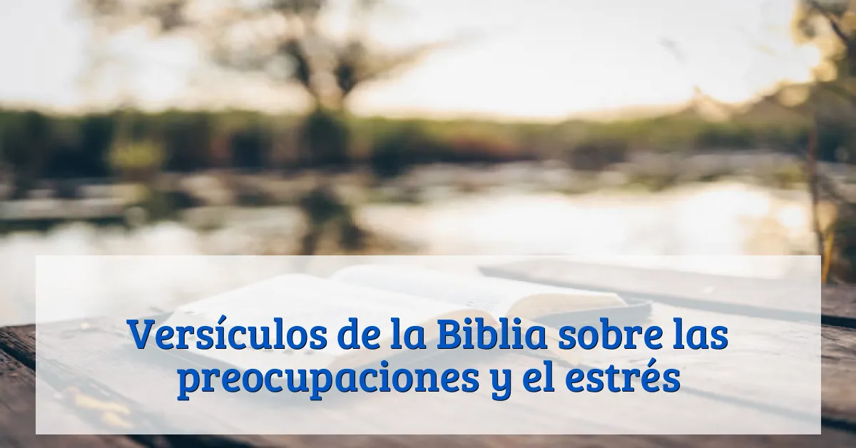 Versículos de la Biblia sobre las preocupaciones y el estrés
