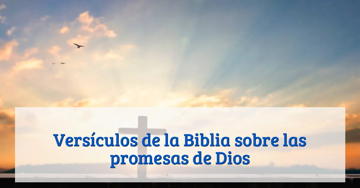 Versículos de la Biblia sobre las promesas de Dios