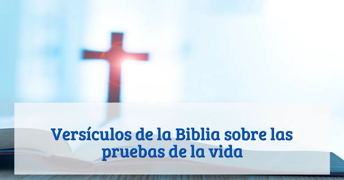 Versículos de la Biblia sobre las pruebas de la vida